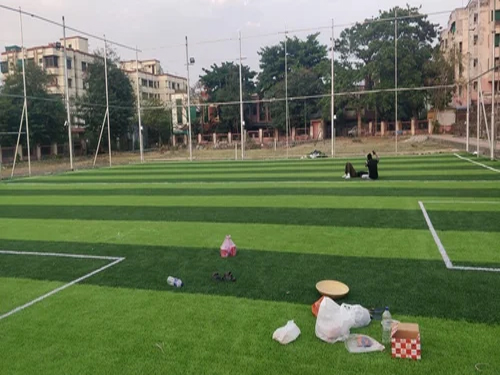 Artificial Cricket Pitch